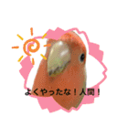 うちのbirdたち2（個別スタンプ：6）