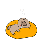 たぬきちくんのスタンプ2（個別スタンプ：19）