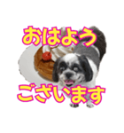 愛犬とスイーツ☆コラボ（個別スタンプ：25）