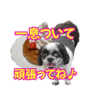 愛犬とスイーツ☆コラボ（個別スタンプ：32）