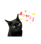 coco＆tete（個別スタンプ：5）