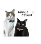 coco＆tete（個別スタンプ：6）