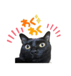 coco＆tete（個別スタンプ：7）
