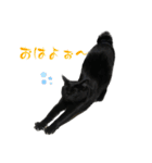 coco＆tete（個別スタンプ：14）