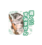 いろんな動物たちの日常スタンプ(敬語多め)（個別スタンプ：3）