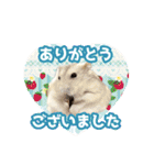 いろんな動物たちの日常スタンプ(敬語多め)（個別スタンプ：5）