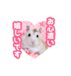いろんな動物たちの日常スタンプ(敬語多め)（個別スタンプ：7）