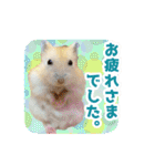 いろんな動物たちの日常スタンプ(敬語多め)（個別スタンプ：8）