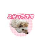 いろんな動物たちの日常スタンプ(敬語多め)（個別スタンプ：10）