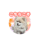 いろんな動物たちの日常スタンプ(敬語多め)（個別スタンプ：11）