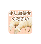 いろんな動物たちの日常スタンプ(敬語多め)（個別スタンプ：15）