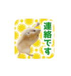 いろんな動物たちの日常スタンプ(敬語多め)（個別スタンプ：18）