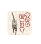 いろんな動物たちの日常スタンプ(敬語多め)（個別スタンプ：22）