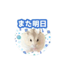 いろんな動物たちの日常スタンプ(敬語多め)（個別スタンプ：28）