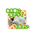 いろんな動物たちの日常スタンプ(敬語多め)（個別スタンプ：32）
