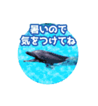 いろんな動物たちの日常スタンプ(敬語多め)（個別スタンプ：34）