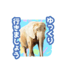 いろんな動物たちの日常スタンプ(敬語多め)（個別スタンプ：35）