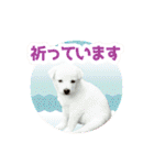 いろんな動物たちの日常スタンプ(敬語多め)（個別スタンプ：36）