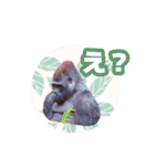 いろんな動物たちの日常スタンプ(敬語多め)（個別スタンプ：37）
