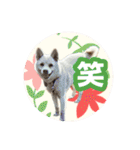 いろんな動物たちの日常スタンプ(敬語多め)（個別スタンプ：38）