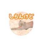 いろんな動物たちの日常スタンプ(敬語多め)（個別スタンプ：39）