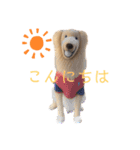 ころすけのスタンプその2（個別スタンプ：5）