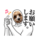BUBUちゃんスタンプ（個別スタンプ：13）