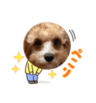 BUBUちゃんスタンプ（個別スタンプ：14）