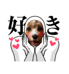 BUBUちゃんスタンプ（個別スタンプ：18）