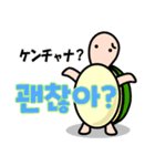 カメたんの韓国語スタンプ（個別スタンプ：31）