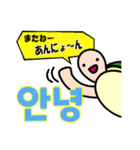 カメたんの韓国語スタンプ（個別スタンプ：40）