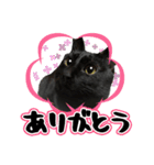 黒猫MOONの日常会話（個別スタンプ：9）