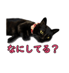 黒猫MOONの日常会話（個別スタンプ：22）