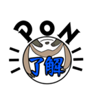背景になりたいナマケモノ（個別スタンプ：5）