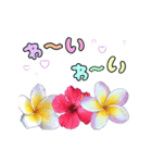 ハワイのお花と大人可愛い文字がずっと動く（個別スタンプ：19）