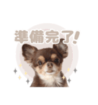 うにちゃんと、ほたてくん。【2】（個別スタンプ：10）