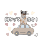 うにちゃんと、ほたてくん。【2】（個別スタンプ：14）