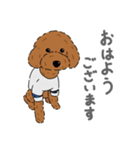 ぺいぺい兄弟 日常（個別スタンプ：1）