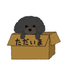 ぺいぺい兄弟 日常（個別スタンプ：5）
