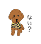 ぺいぺい兄弟 日常（個別スタンプ：22）