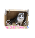 いろいろ探検（個別スタンプ：6）