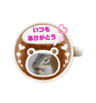 シマリスジャムと茶々と一緒（個別スタンプ：9）