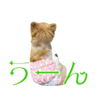 豆子やれんのか！（個別スタンプ：3）