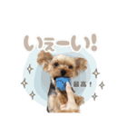 ぴのさんスタンプ【7】（個別スタンプ：3）