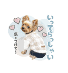 ぴのさんスタンプ【7】（個別スタンプ：9）
