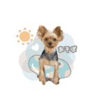 ぴのさんスタンプ【7】（個別スタンプ：13）