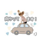ぴのさんスタンプ【7】（個別スタンプ：14）