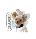ぴのさんスタンプ【7】（個別スタンプ：16）