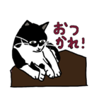 ハチワレになりきれてない猫（個別スタンプ：9）