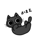 まんまるおめめの黒猫くん（個別スタンプ：5）